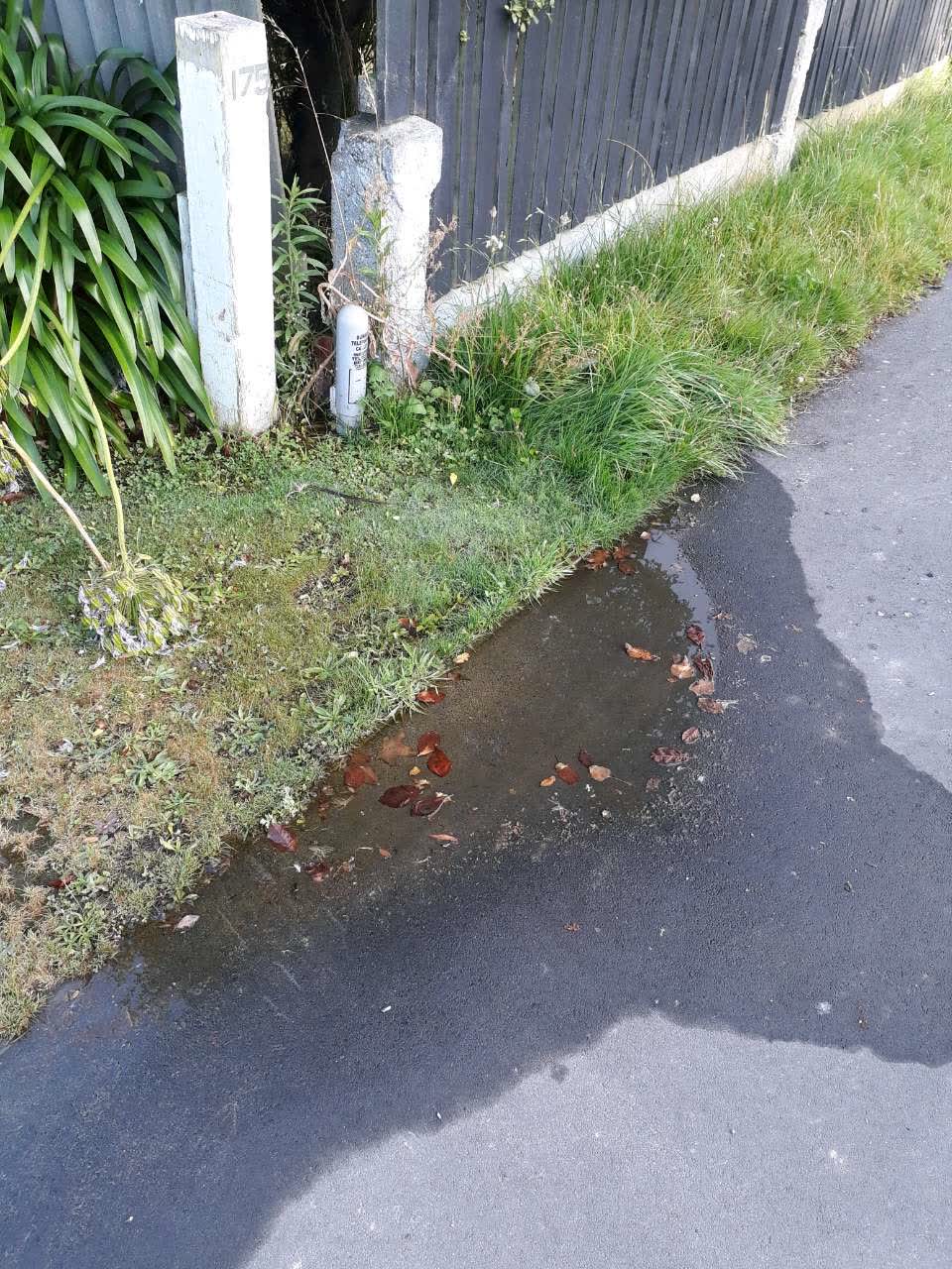 The photograph attached to this water supply report