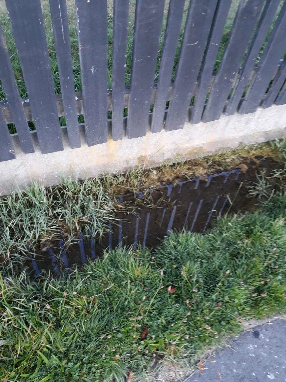 The photograph attached to this water supply report