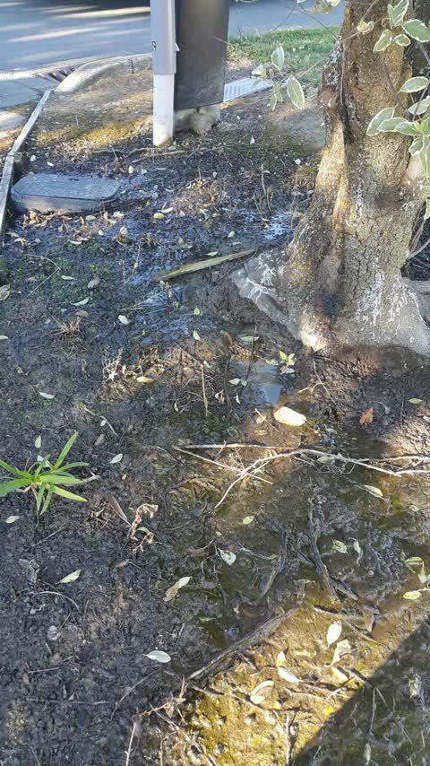Water Supply, a report photo
