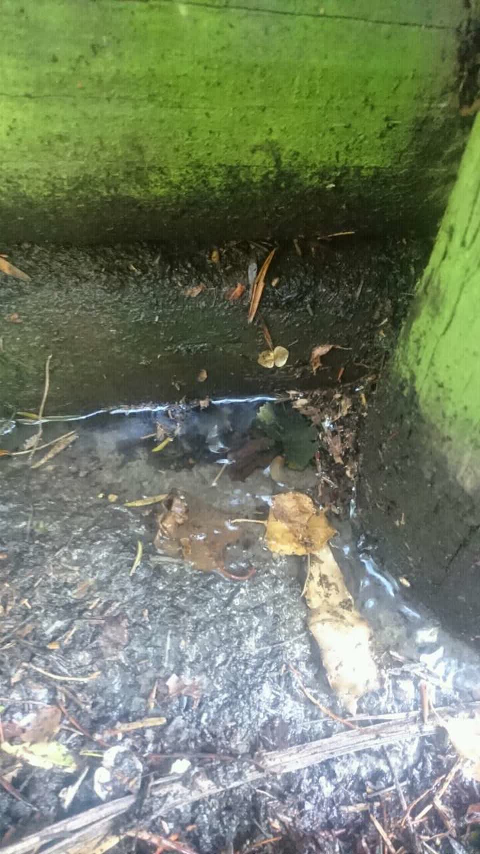 The photograph attached to this water supply report