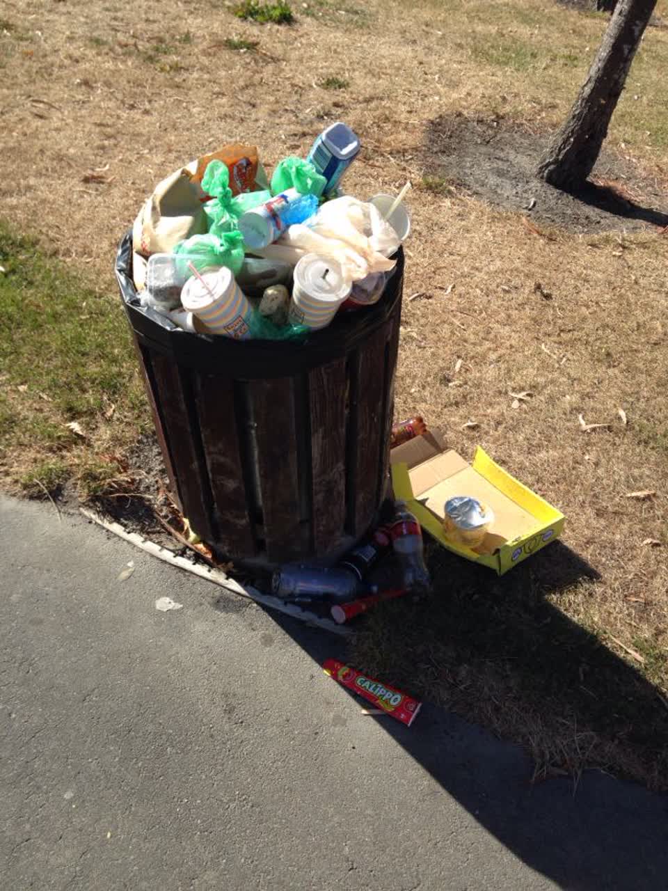 The photograph attached to this rubbish/recycling report
