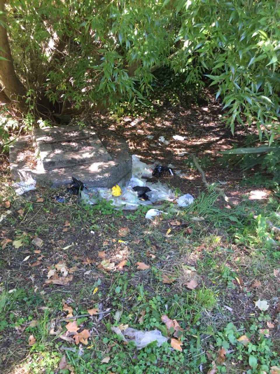 The photograph attached to this rubbish/recycling report