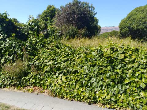 Roading/Streets, a report photo