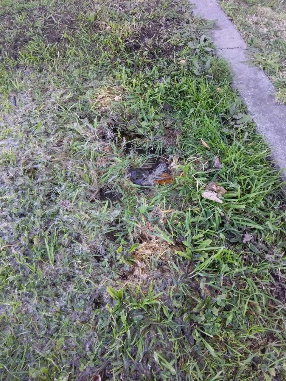 The photograph attached to this water supply report