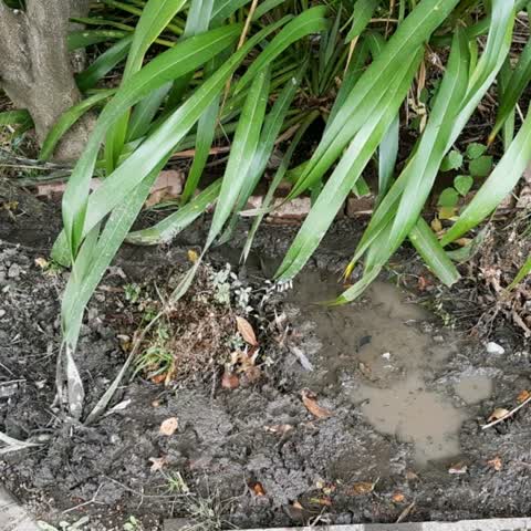 Water Supply, a report photo