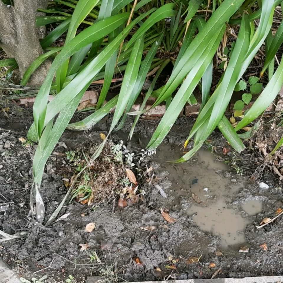 The photograph attached to this water supply report