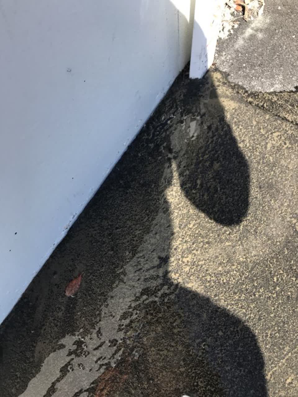 The photograph attached to this water supply report