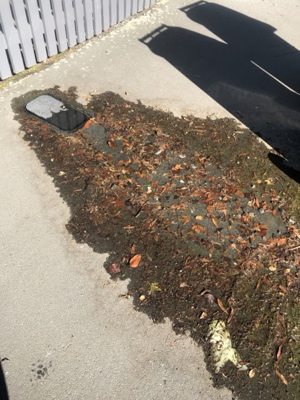 The photograph attached to this water supply report