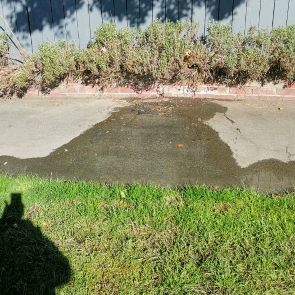The photograph attached to this water supply report