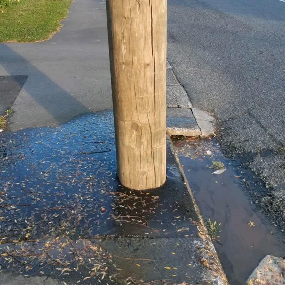 The photograph attached to this water supply report