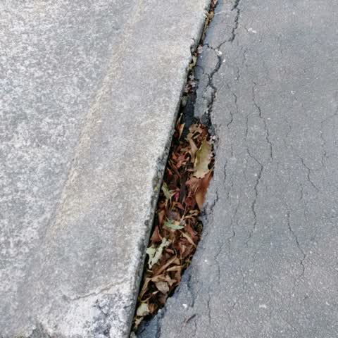 Roading/Streets, a report photo