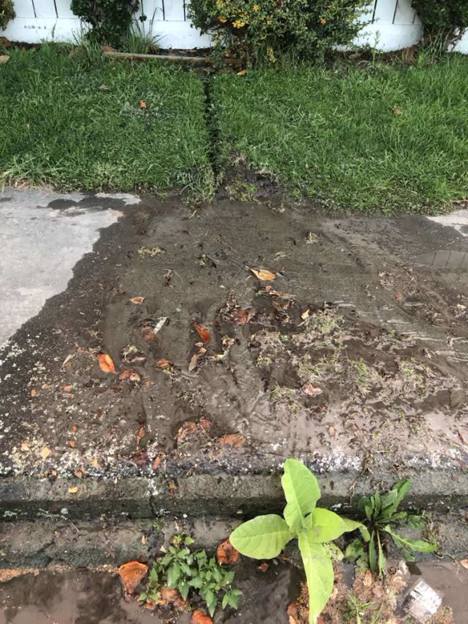 The photograph attached to this water supply report