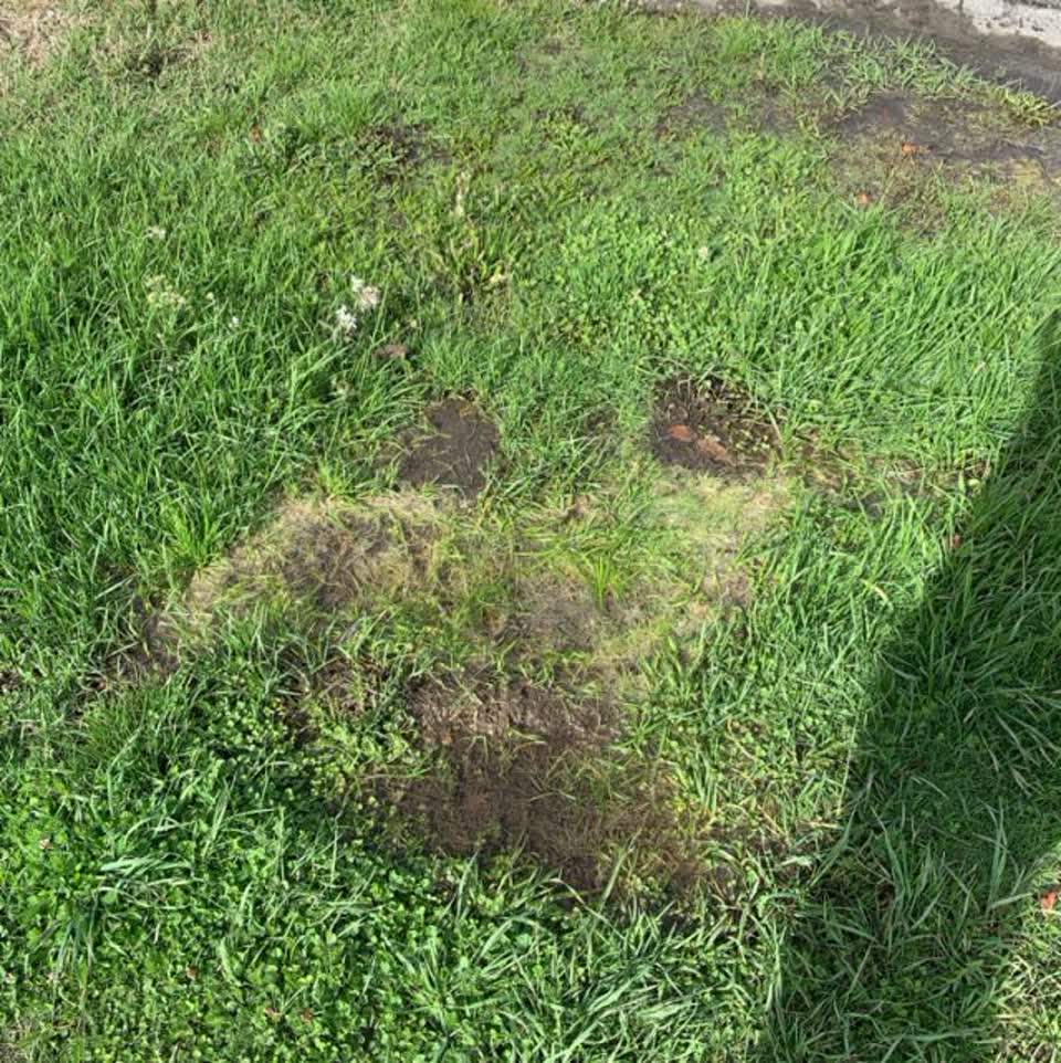 The photograph attached to this wastewater/stormwater report