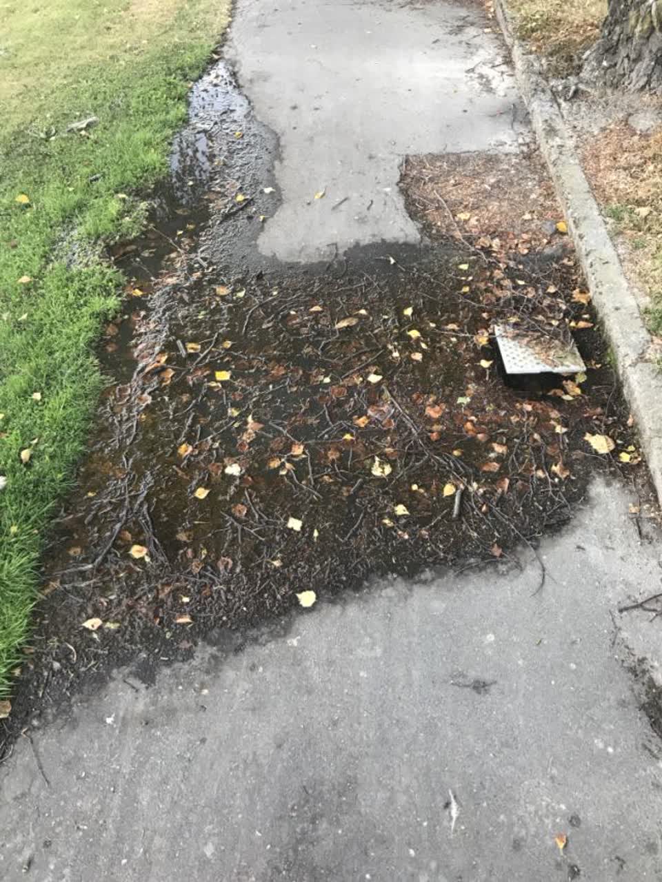 The photograph attached to this water supply report