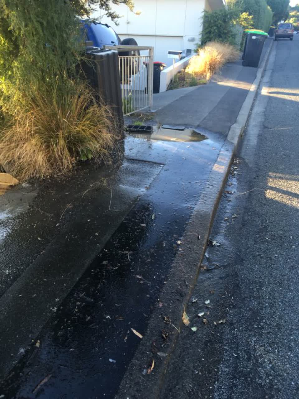 The photograph attached to this flooding report