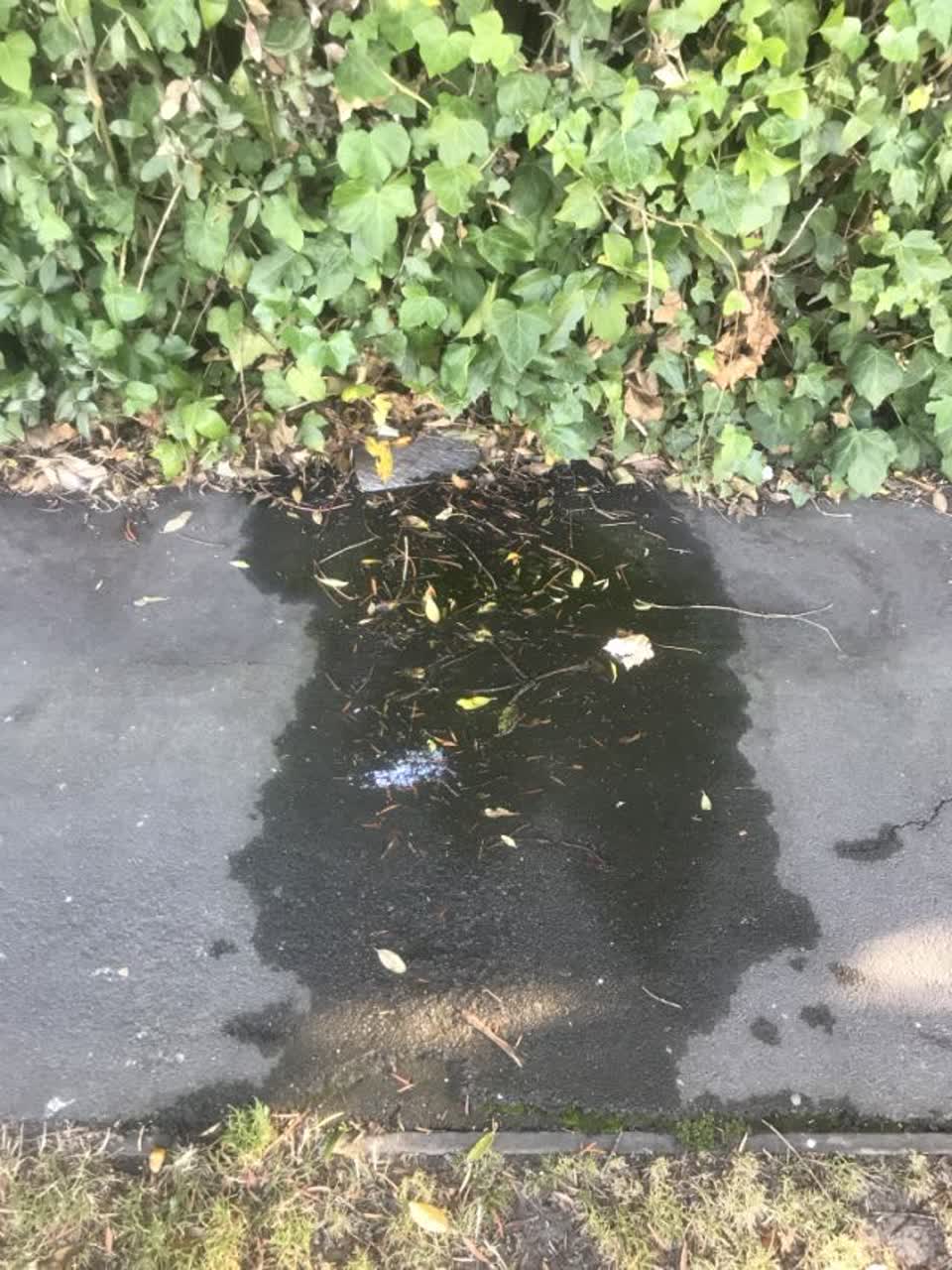 The photograph attached to this water supply report