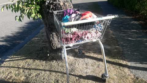 Roading/Streets, a report photo