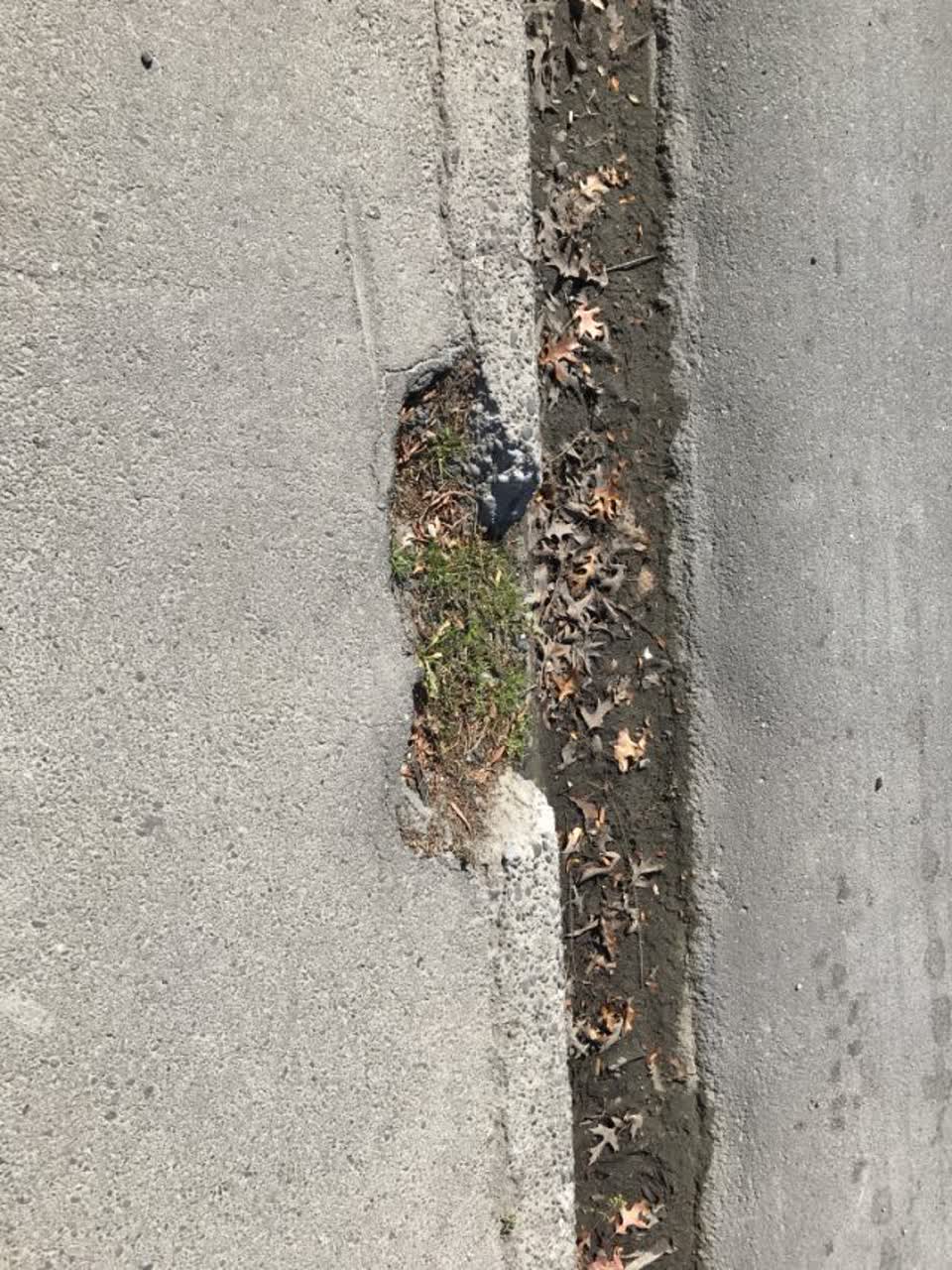 The photograph attached to this roading/streets report