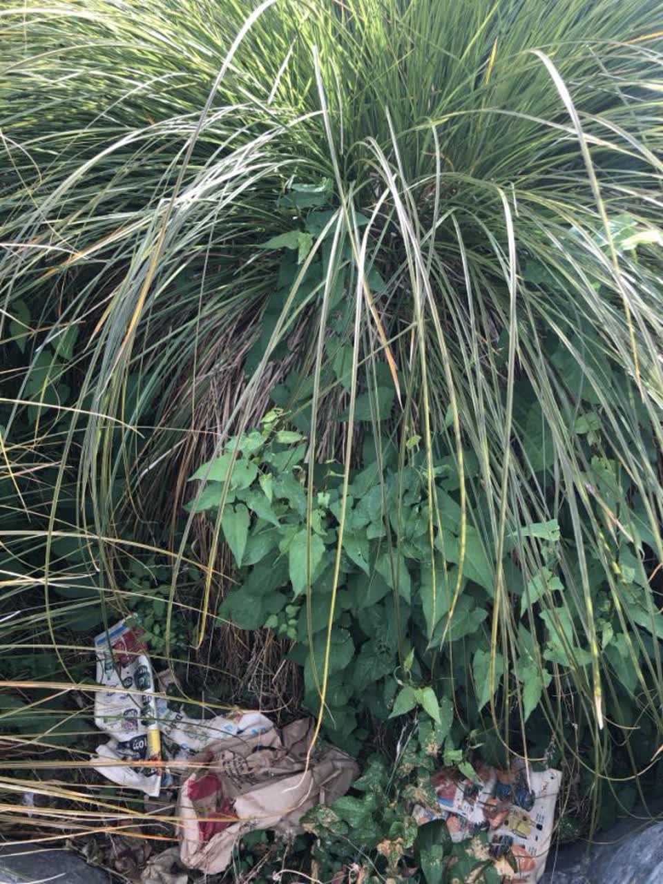 The photograph attached to this wastewater/stormwater report