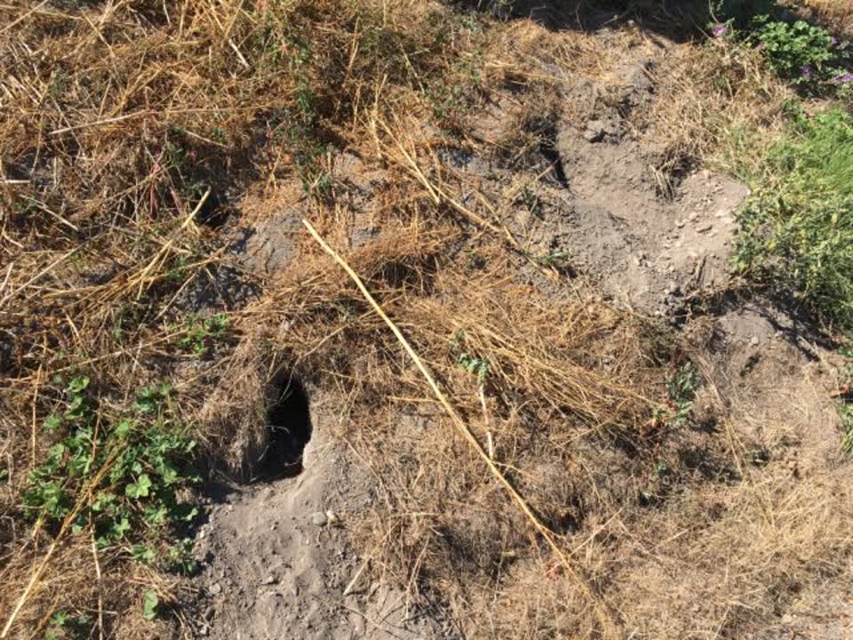 The photograph attached to this wastewater/stormwater report