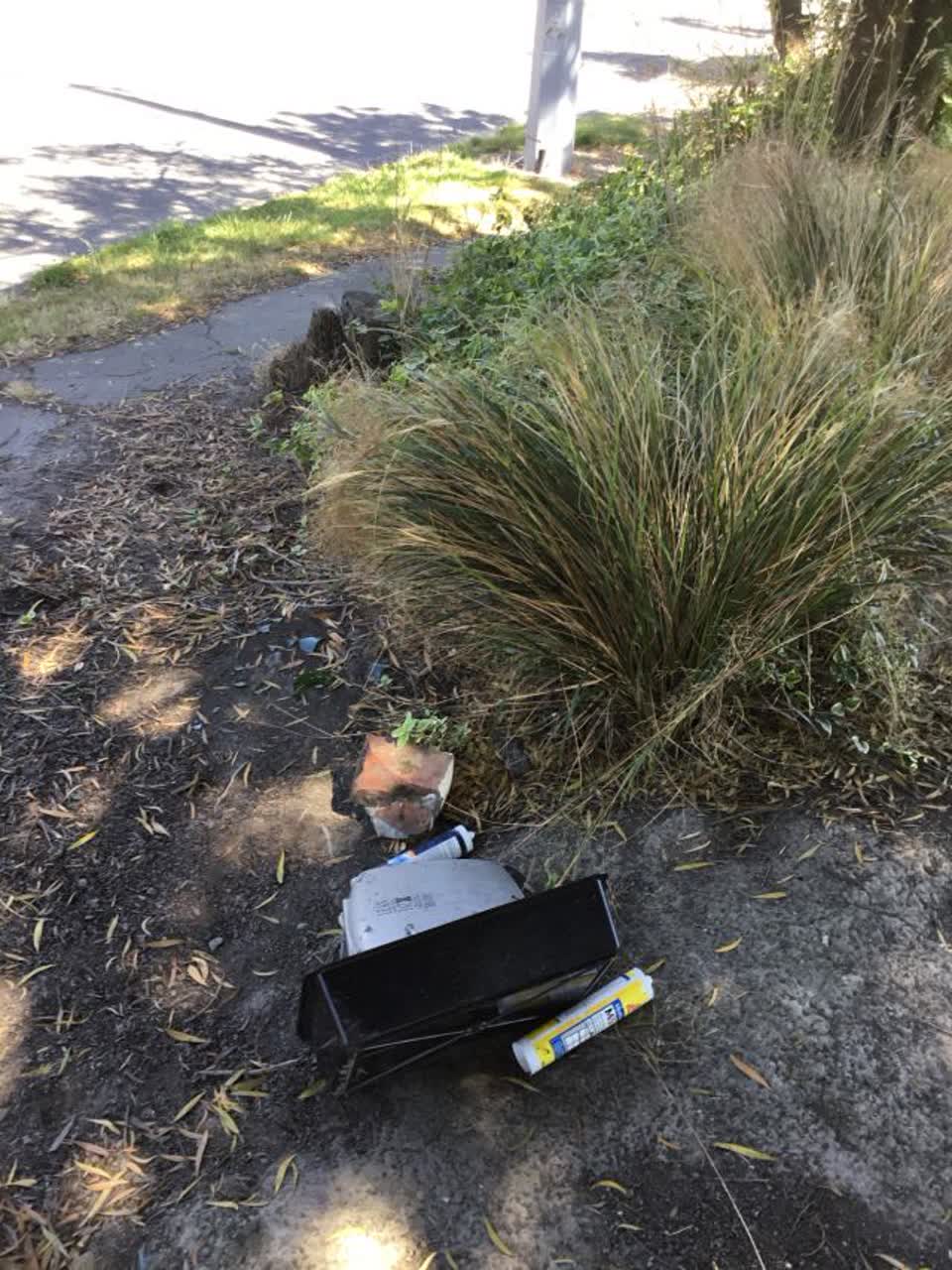 The photograph attached to this rubbish/recycling report