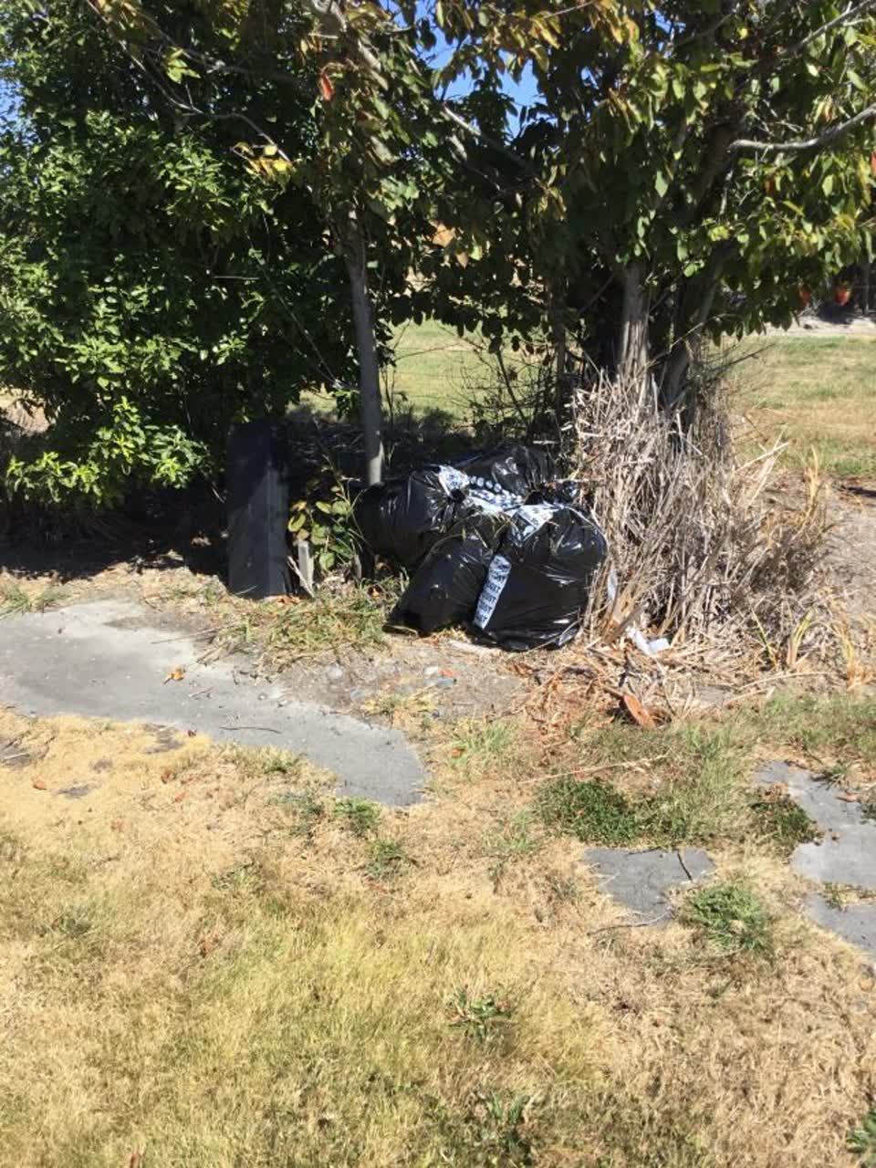 The photograph attached to this rubbish/recycling report