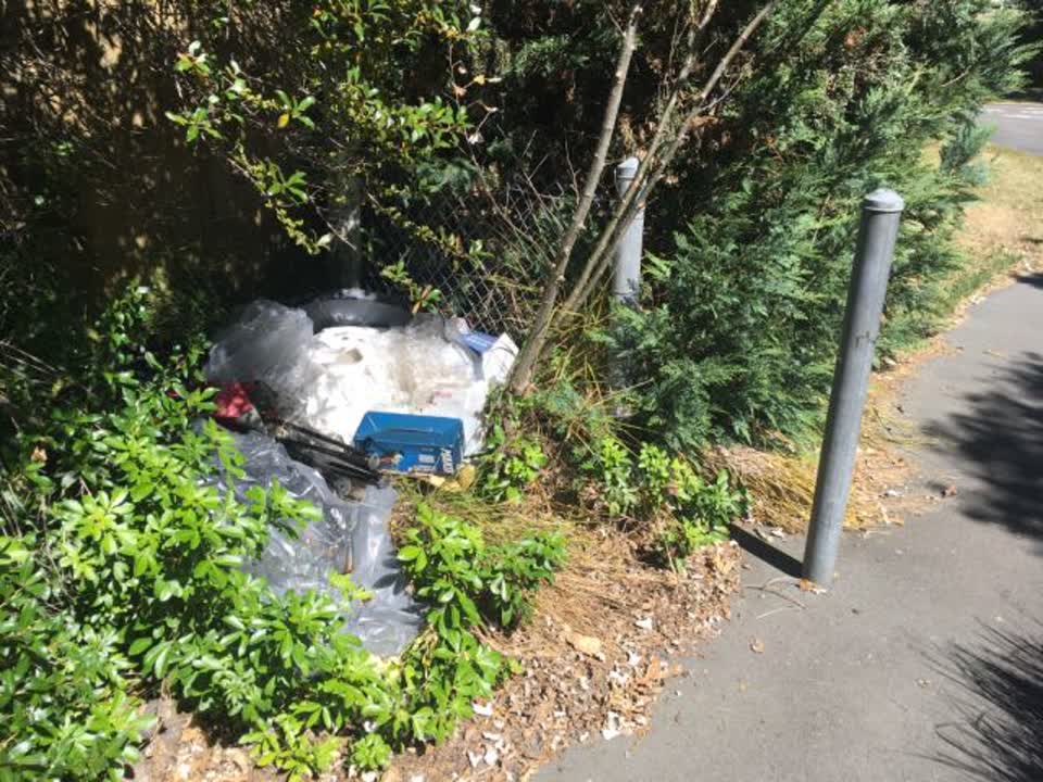 The photograph attached to this rubbish/recycling report
