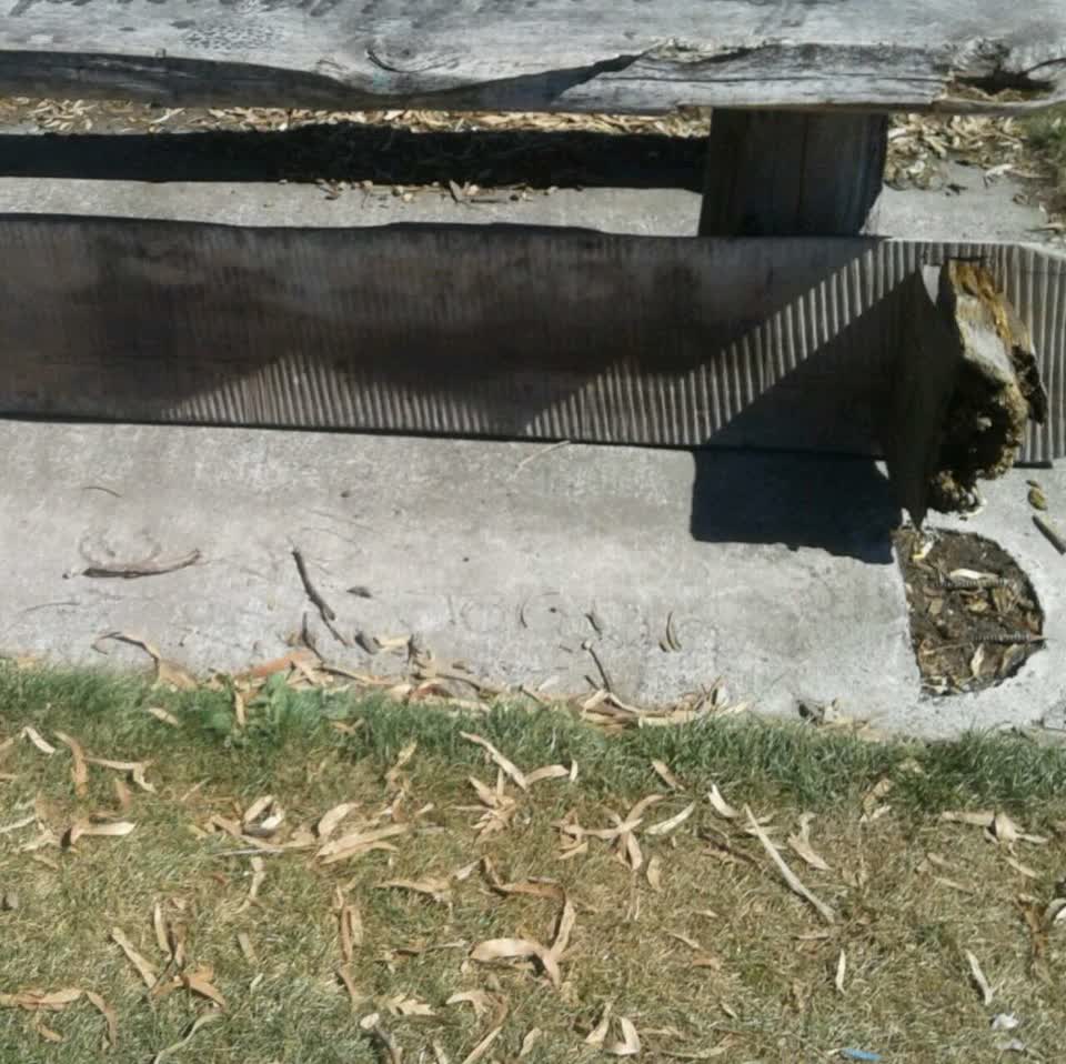 The photograph attached to this parks report