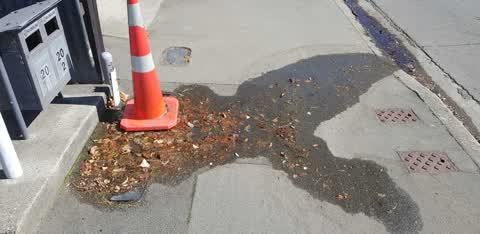 Water Supply, a report photo