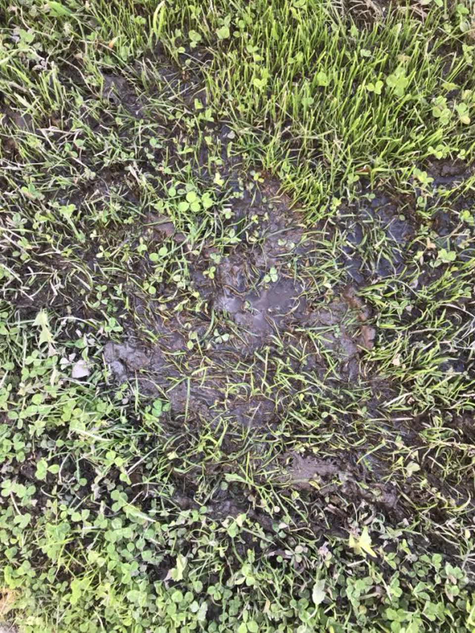 The photograph attached to this wastewater/stormwater report