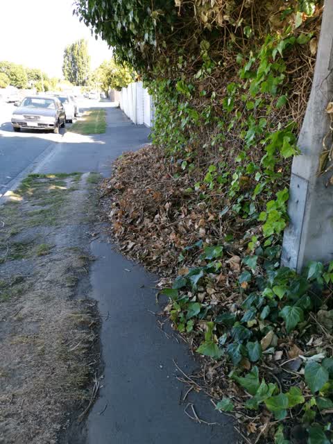 Roading/Streets, a report photo