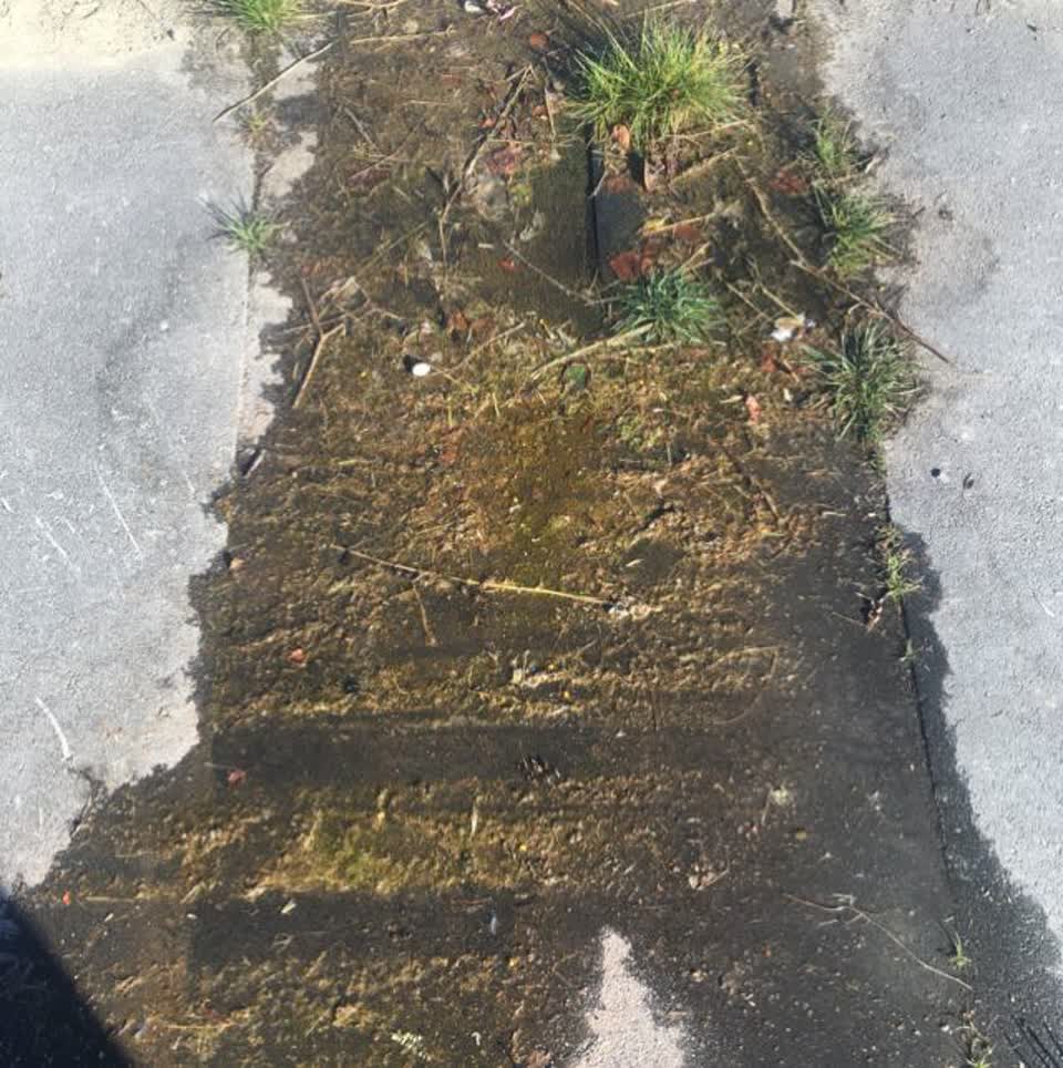 The photograph attached to this water supply report