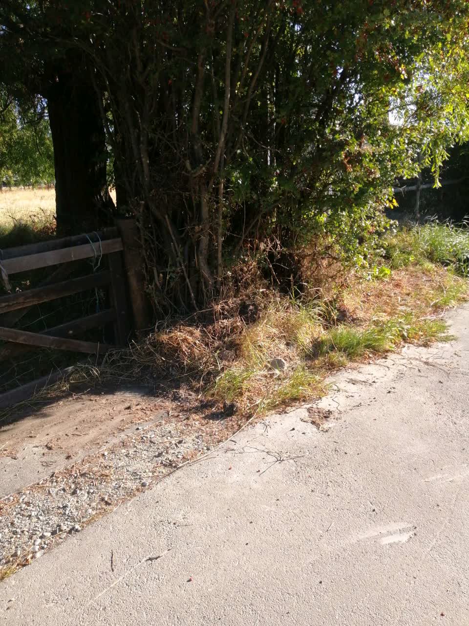 The photograph attached to this water supply report