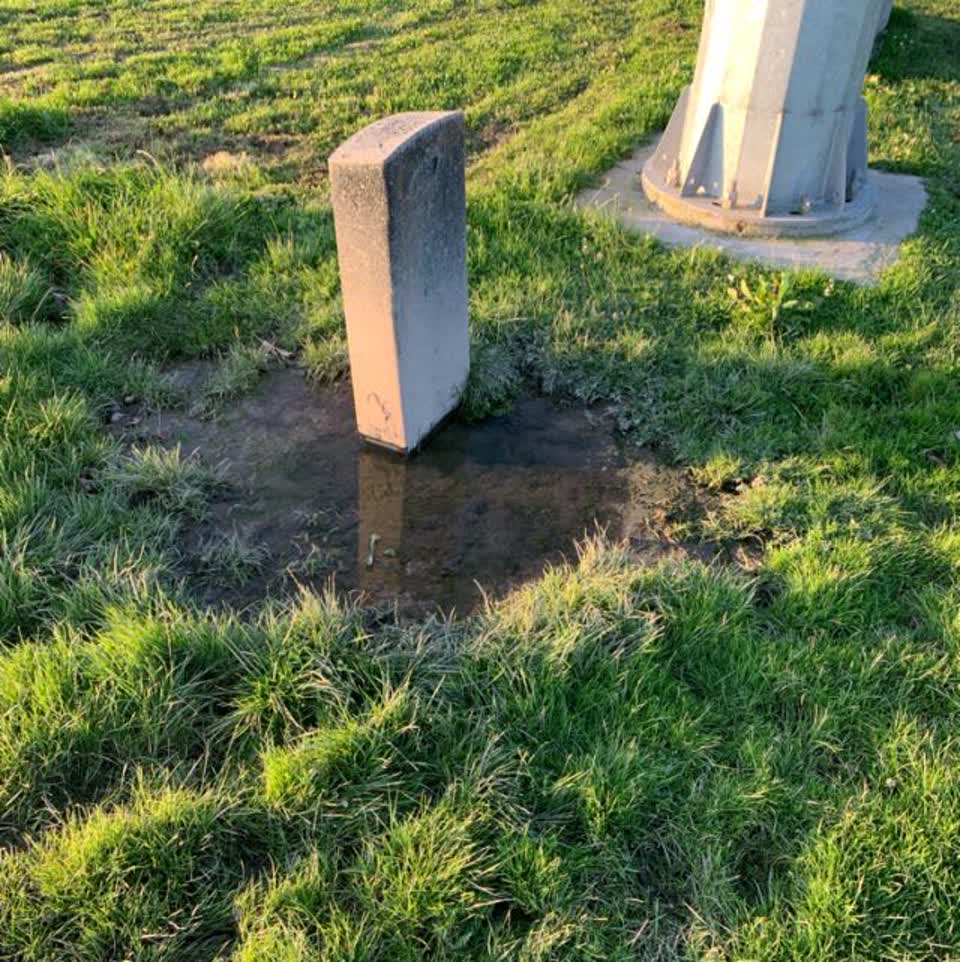 The photograph attached to this parks report