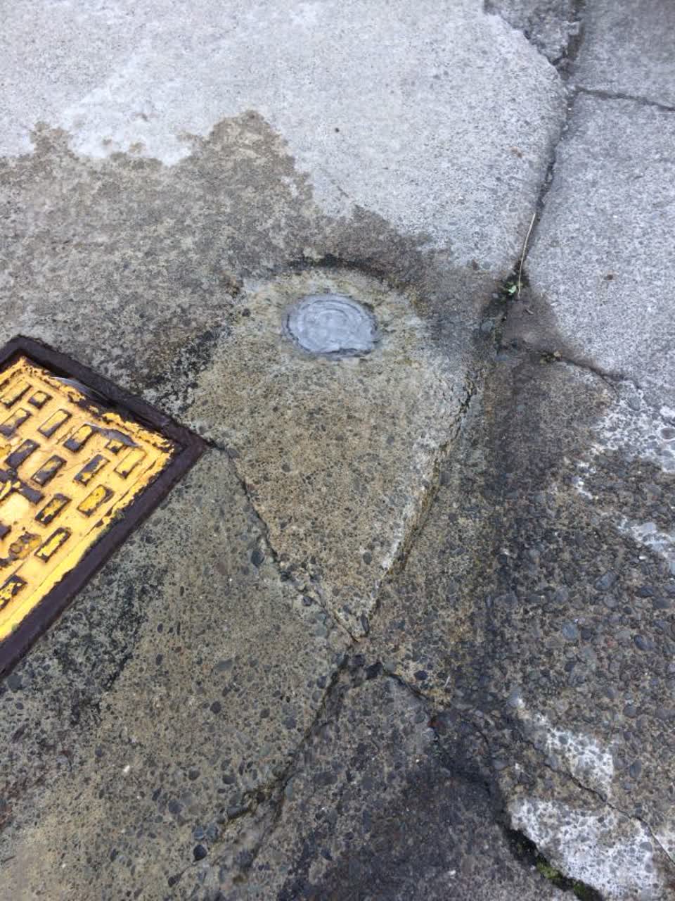 The photograph attached to this flooding report