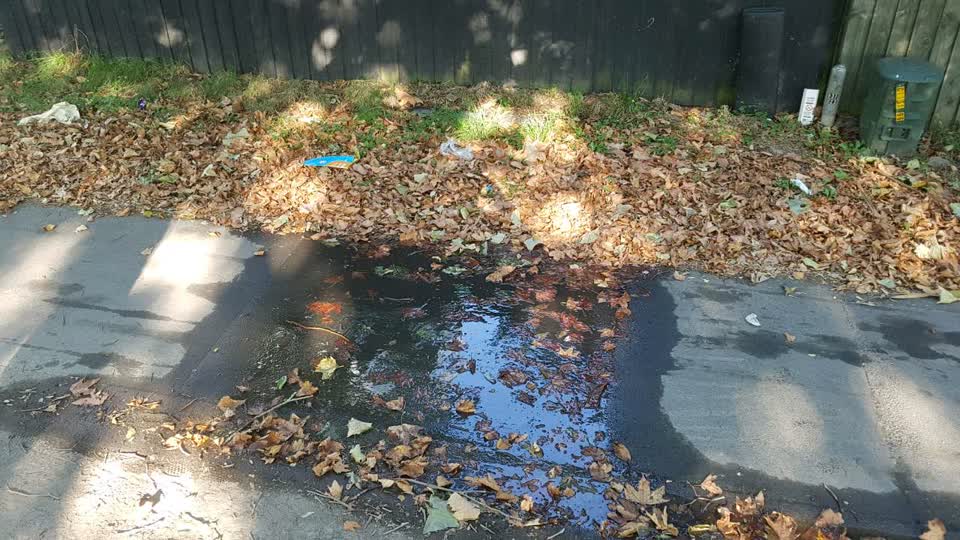 The photograph attached to this water supply report