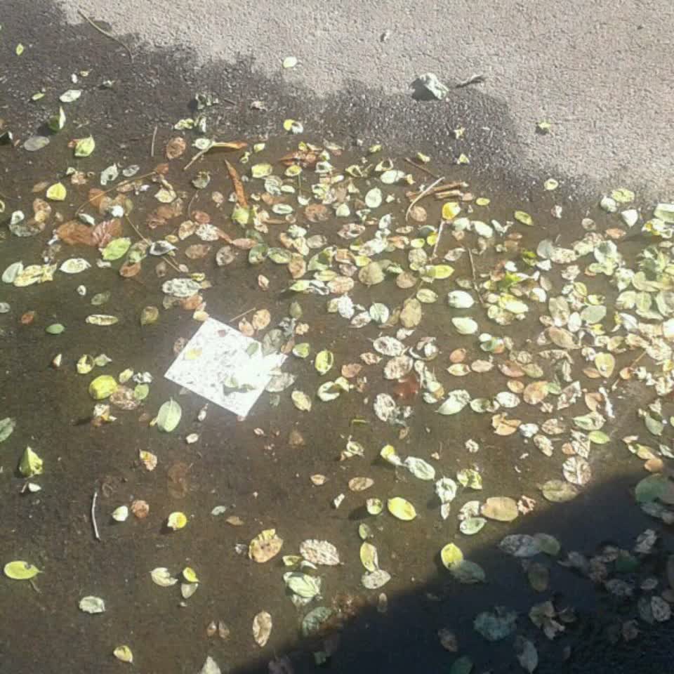 The photograph attached to this wastewater/stormwater report
