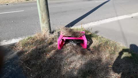Roading/Streets, a report photo