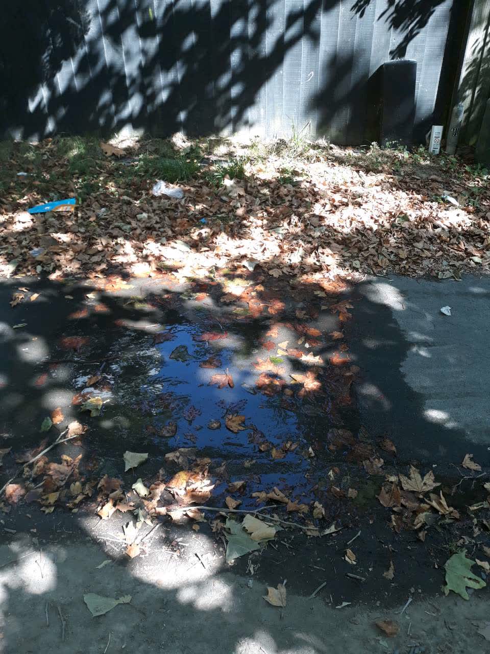 The photograph attached to this water supply report