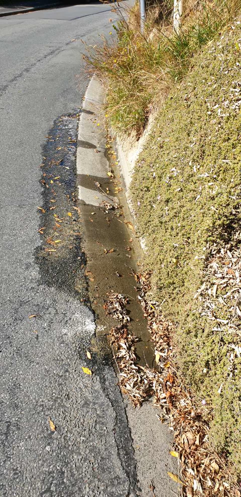 The photograph attached to this water supply report