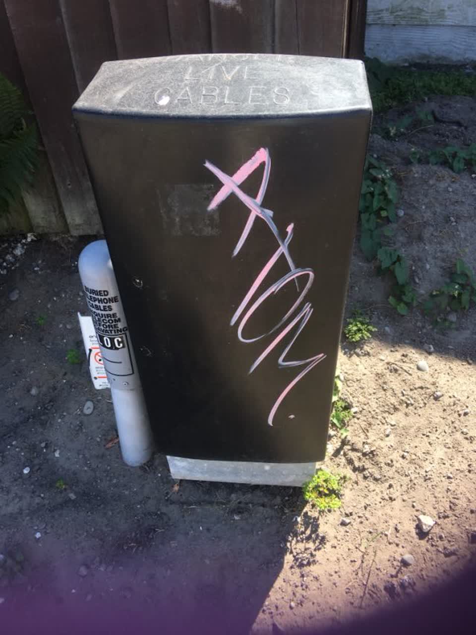 The photograph attached to this graffiti report