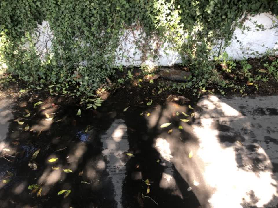 The photograph attached to this water supply report