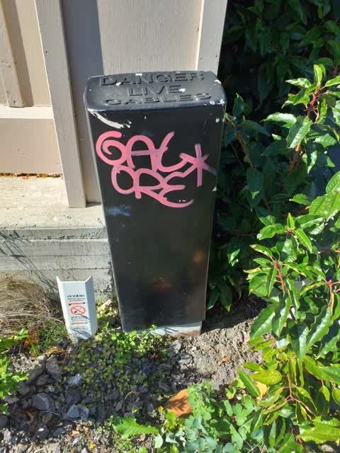 Graffiti, a report photo
