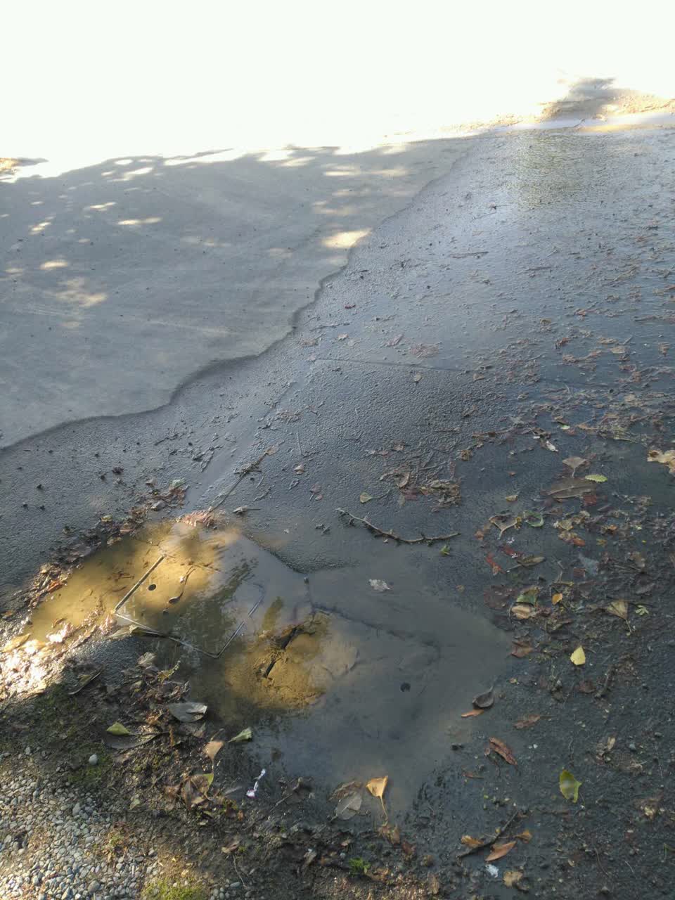The photograph attached to this water supply report