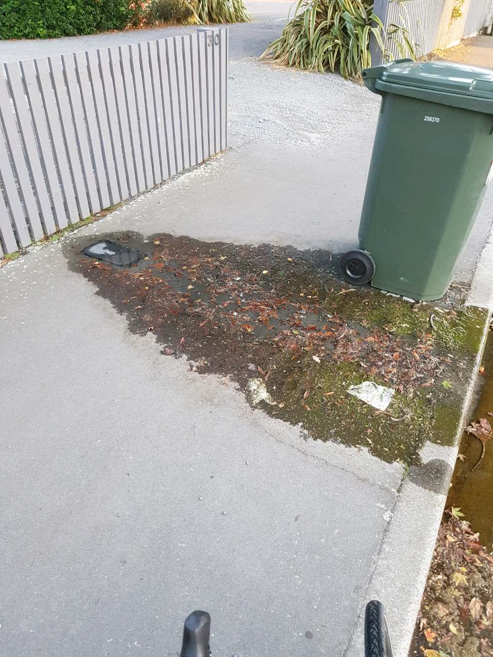 The photograph attached to this water supply report