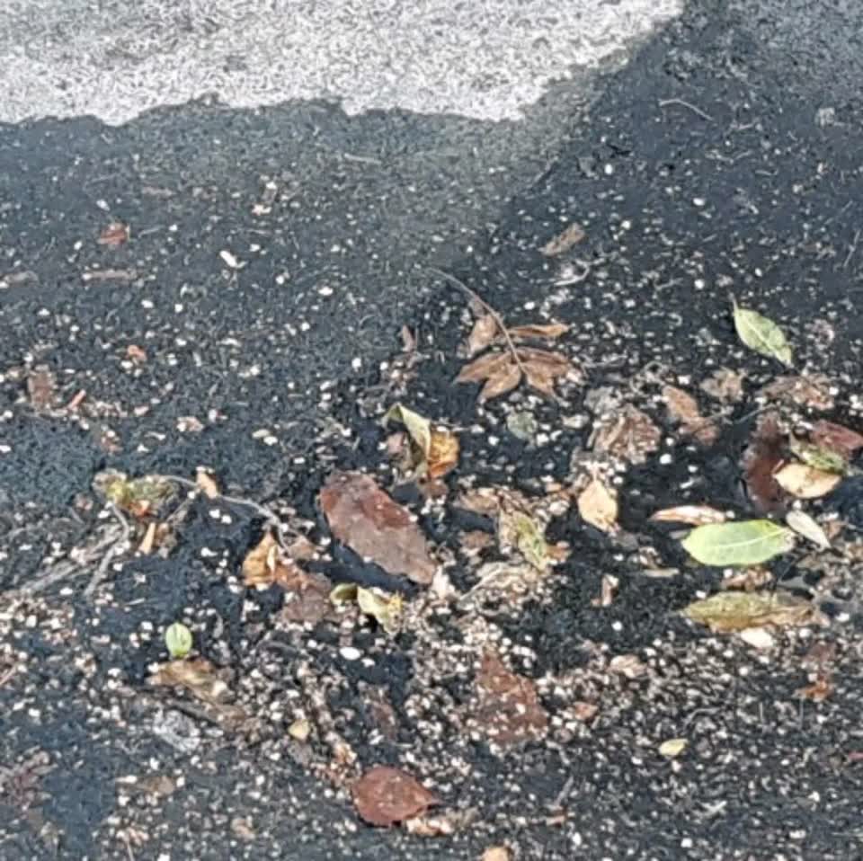 The photograph attached to this water supply report