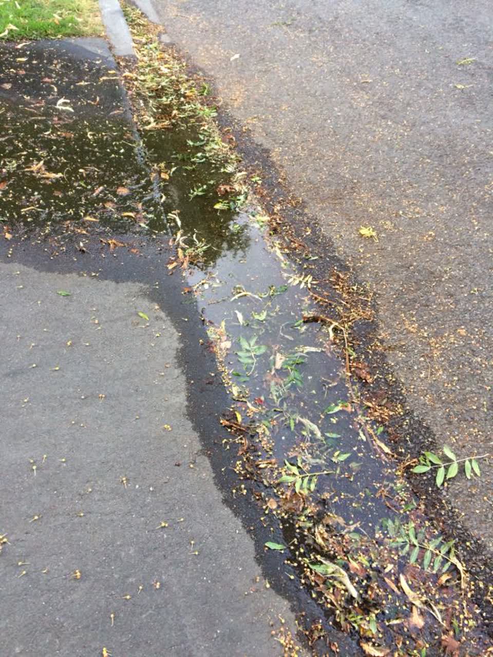 The photograph attached to this water supply report