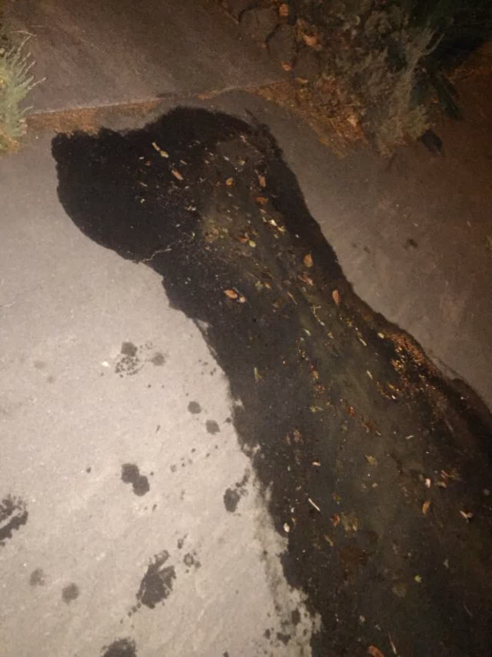 The photograph attached to this water supply report