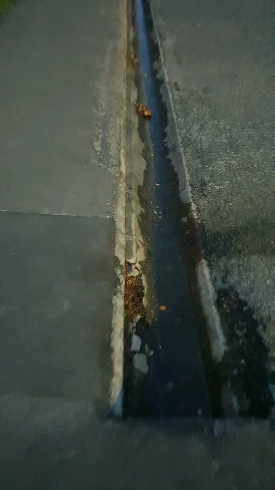 The photograph attached to this flooding report