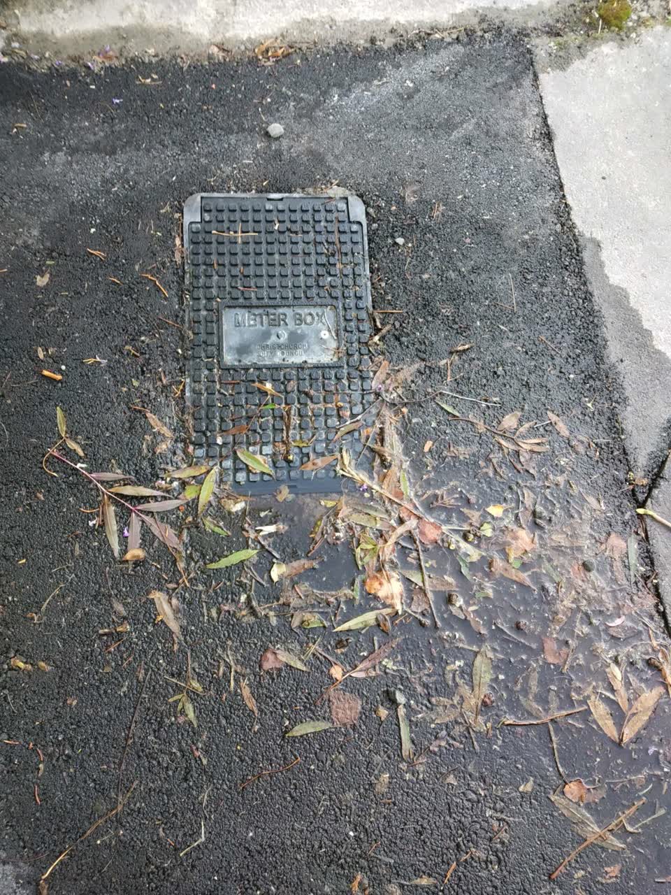The photograph attached to this water supply report